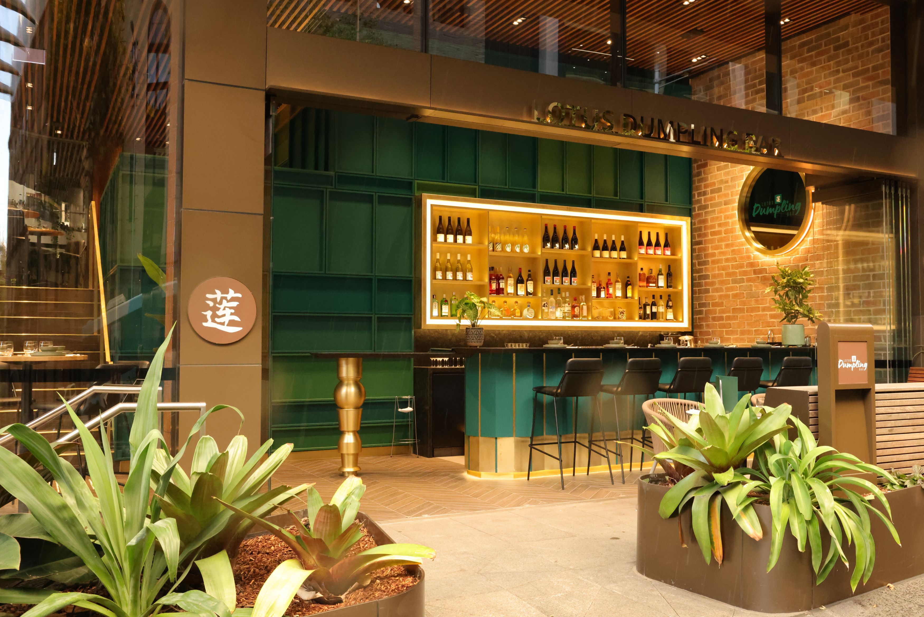 Dumpling Bar Circular Quay Launch Month