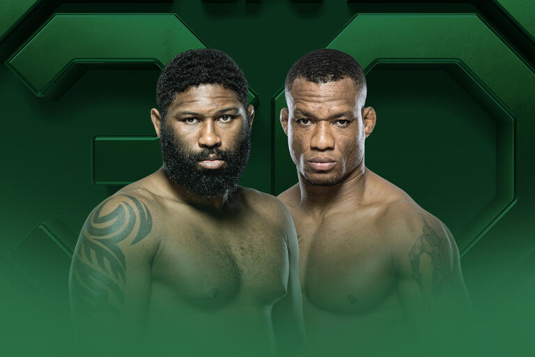 |NL| UFC Fight Night: Almeida vs Lewis