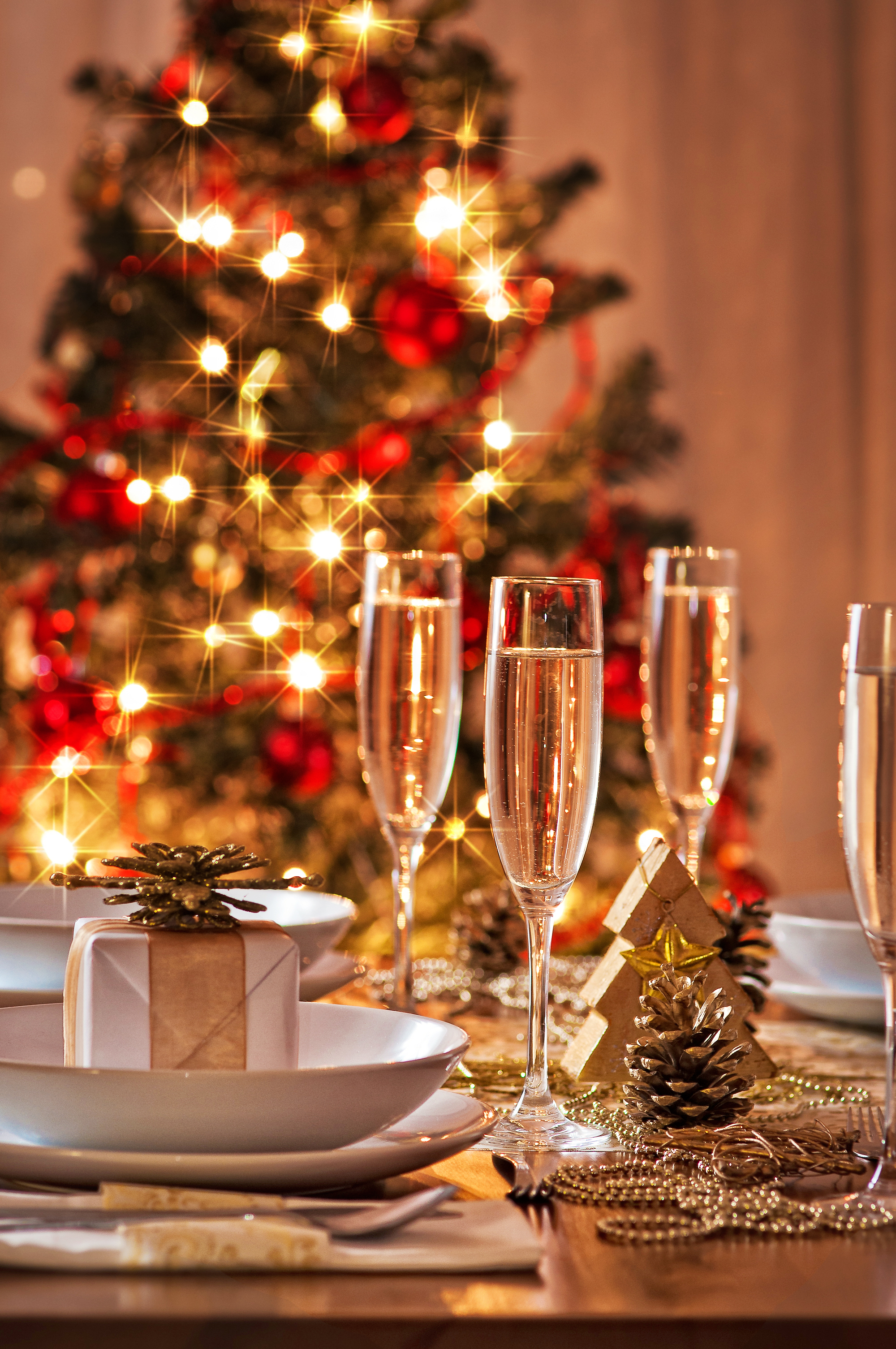 Duke of Wellington Christmas Day Lunch