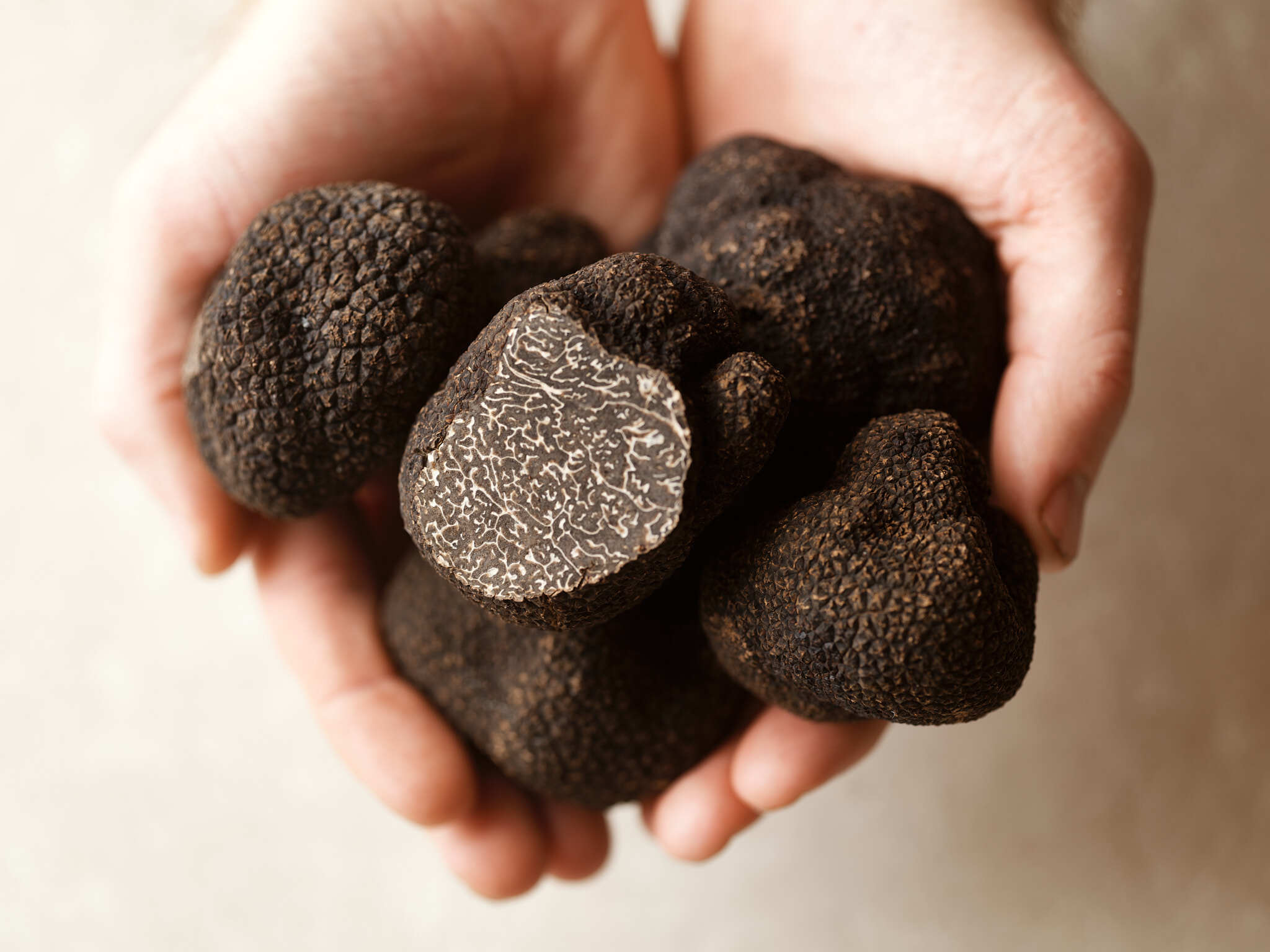 Aria Sydney Truffle Tasting Menu